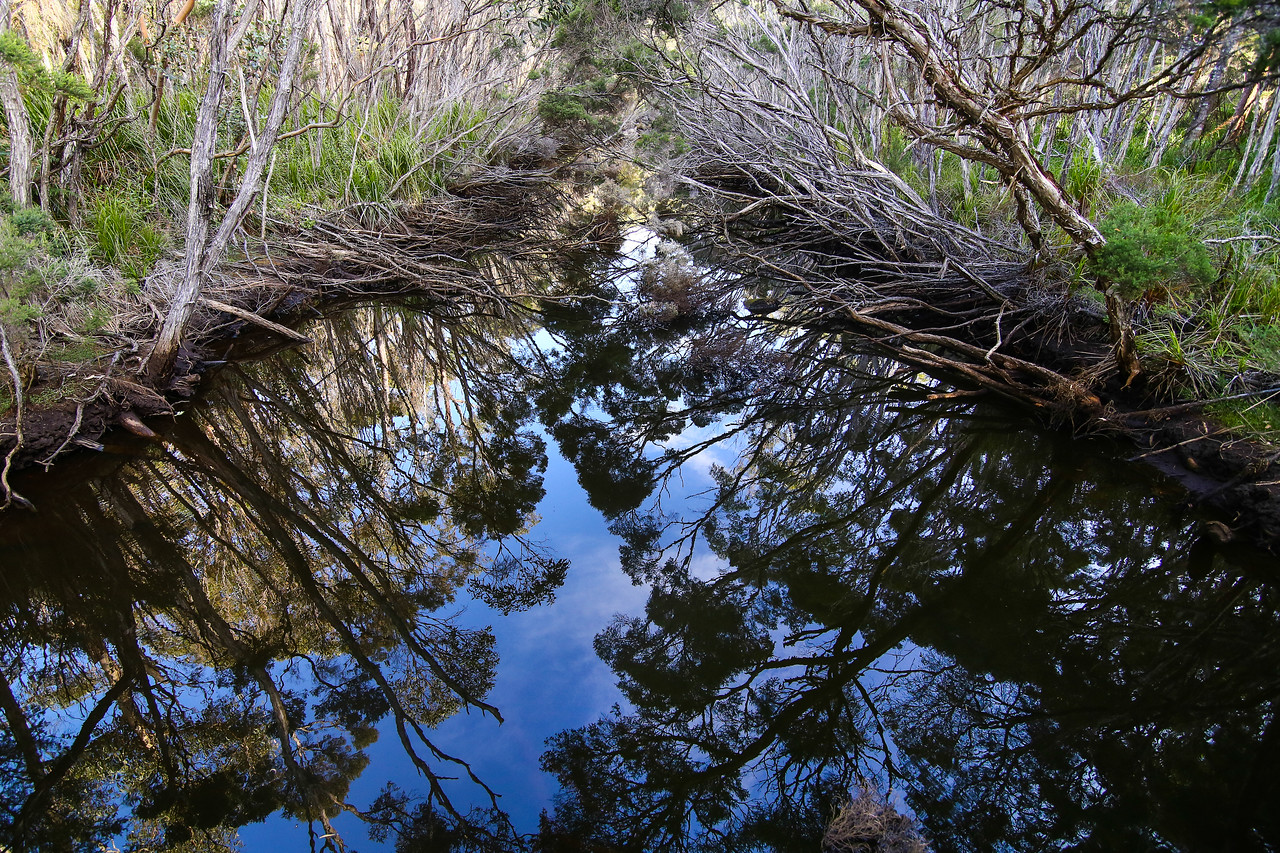 Wilsons Promontory National Park, Victoria, Australia