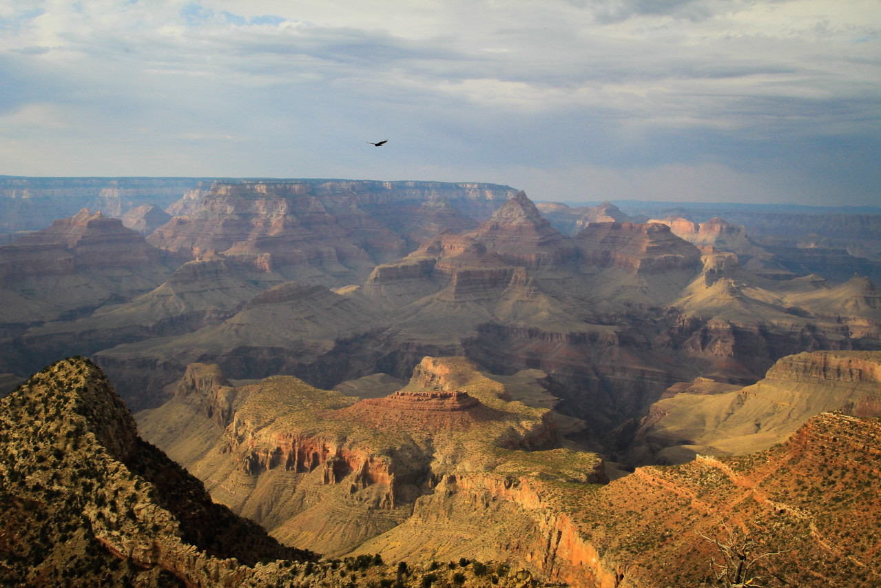 Grand Canyon, Arizona, USA
