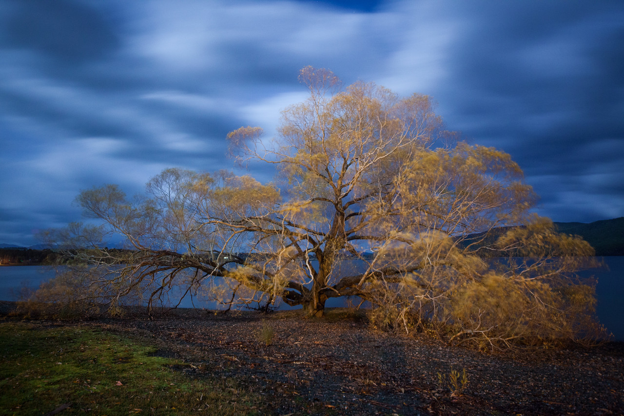 Te Anau, South Island, New Zealand