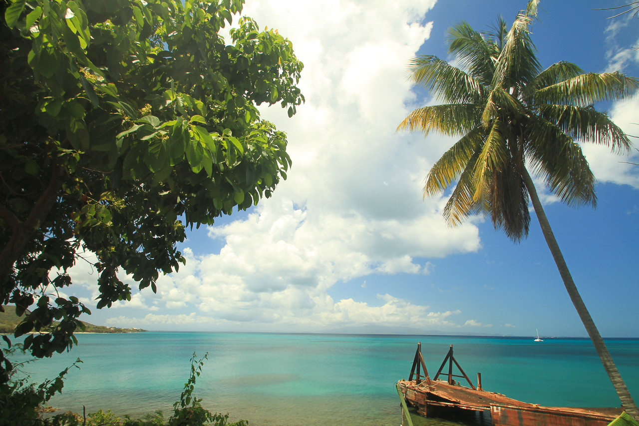 Vieques, Puerto Rico