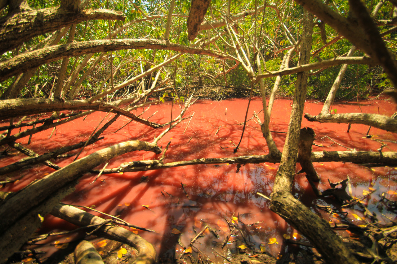 Isla de Vieques, Puerto Rico