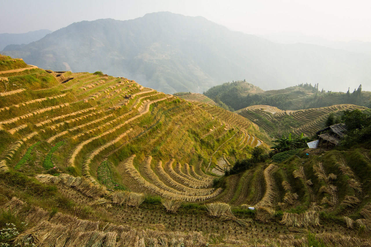Longji Rice Terraces, Guangxi, China