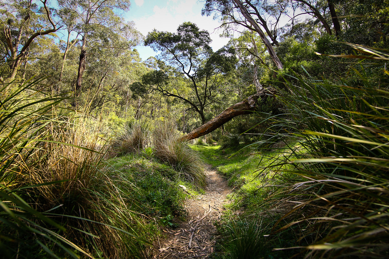 Lerderderg State Park, Victoria, Australia