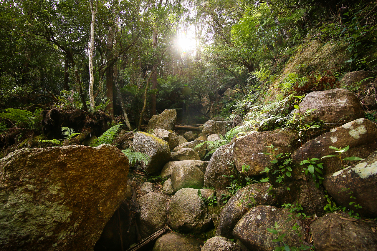 Abel Tasman National Park, New Zealand