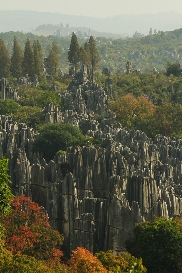 Shilin Rock Forest, Yunnan, China