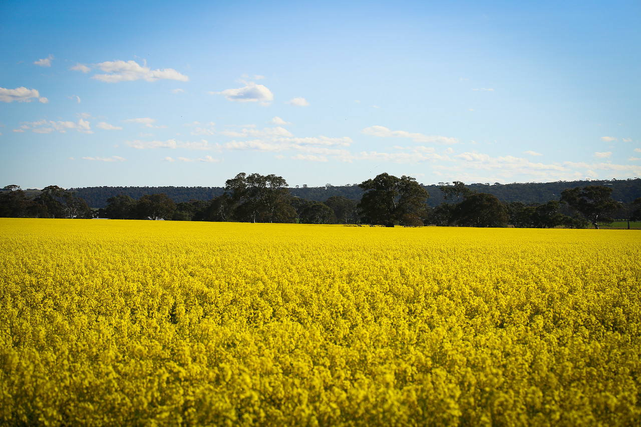 Victoria, Australia