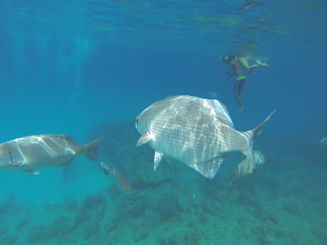DCIM\132GOPRO