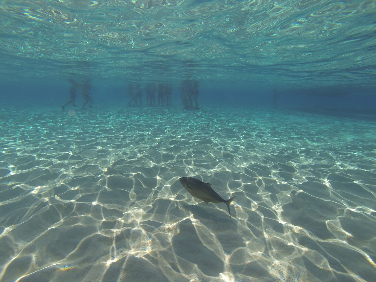 DCIM\132GOPRO